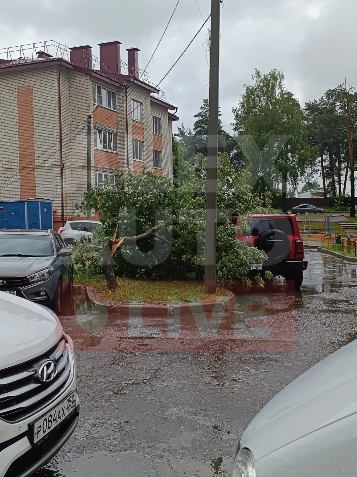 Минус дерево на Гермесе… Упало прямо на стоящий рядом автомобиль…