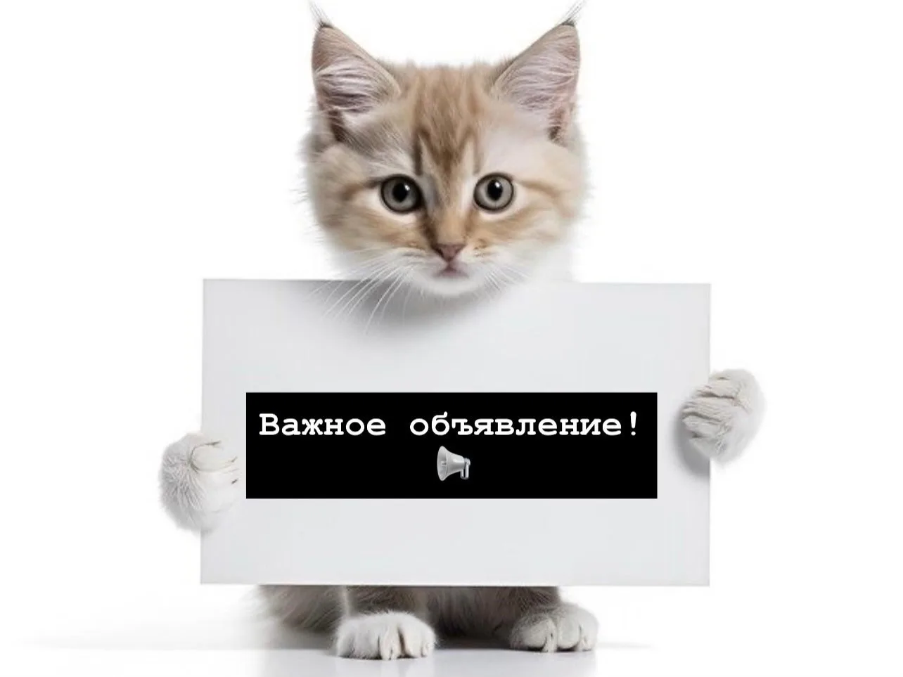 🐾 Позаботьтесь о своих хвостиках бесплатно!