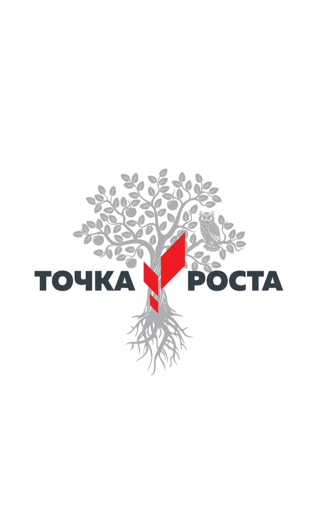 Открытие в школе Точки роста - это уникальная возможность для ребят узнать что-то новое...