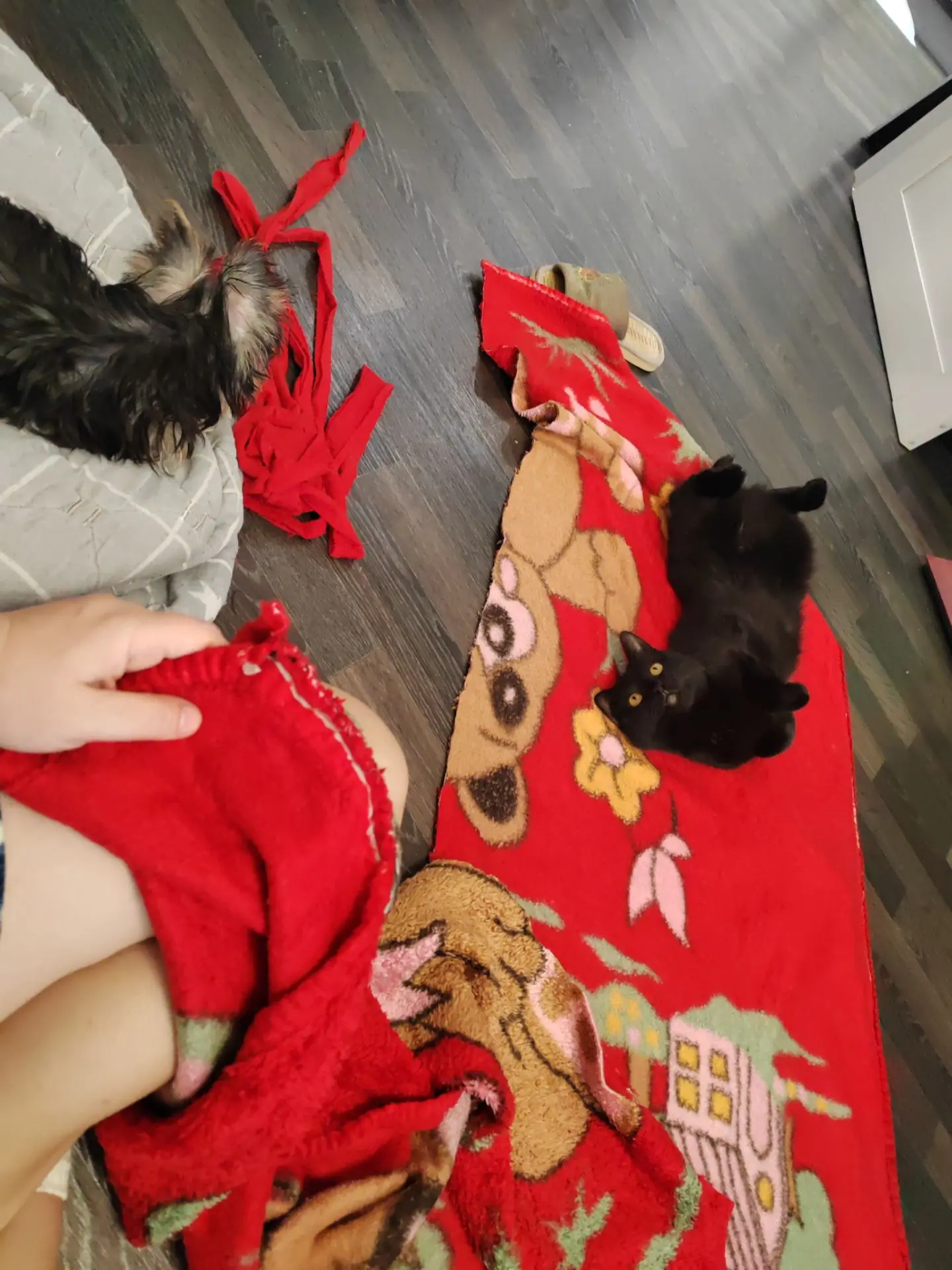 Как бы, я без них... 😂😂😂