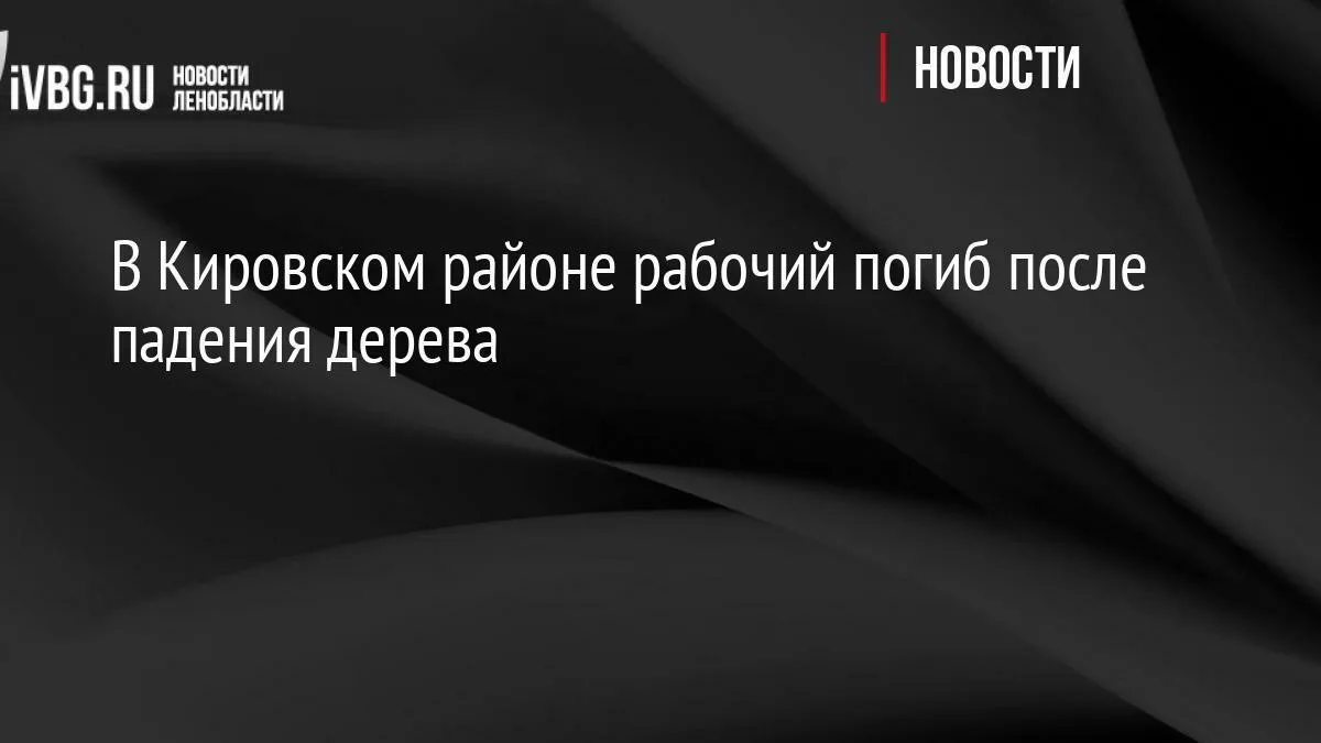 В Кировском районе рабочий погиб после падения дерева

По факту несчастного случая возбуждено уголов