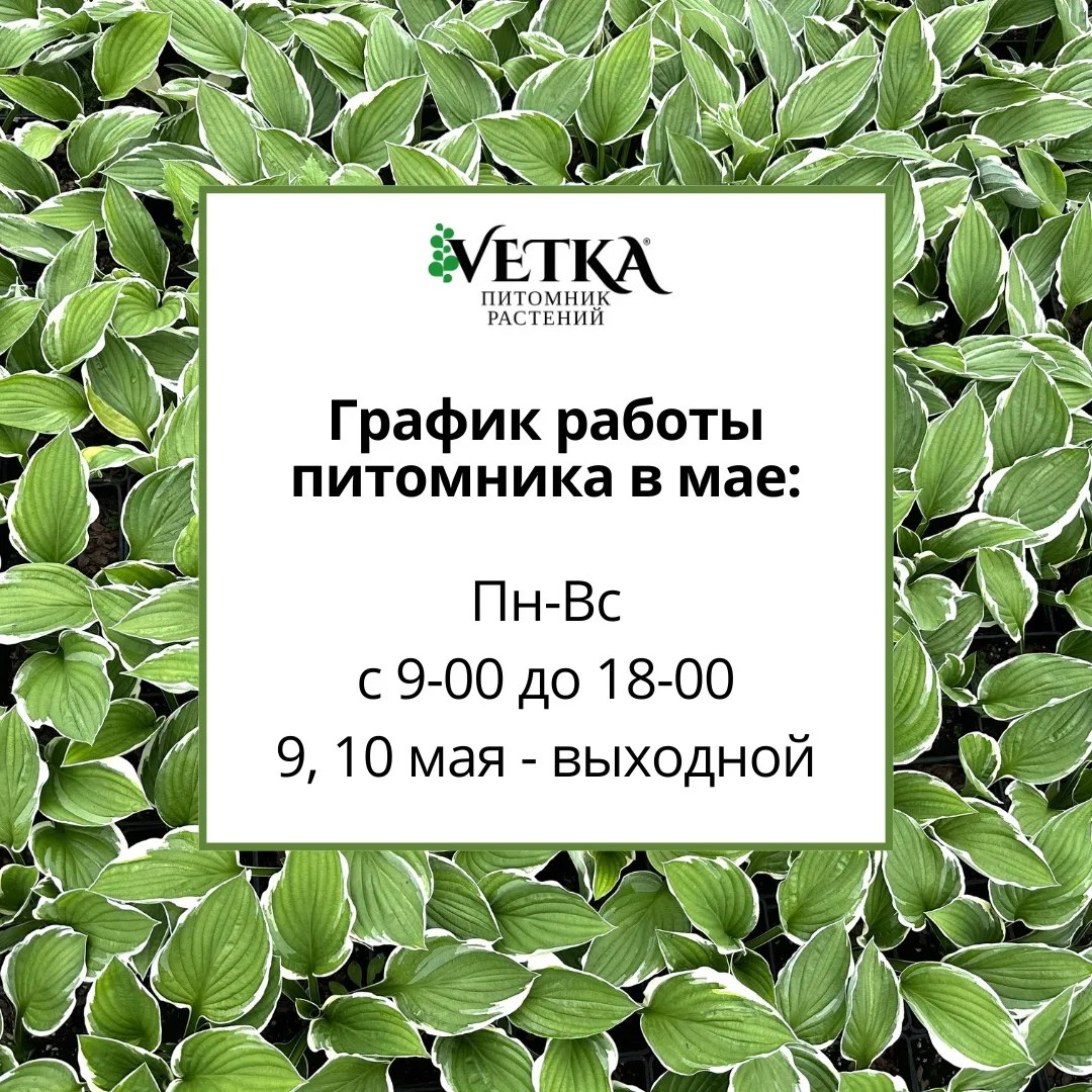 Друзья, внимание, наш график работы в мае: