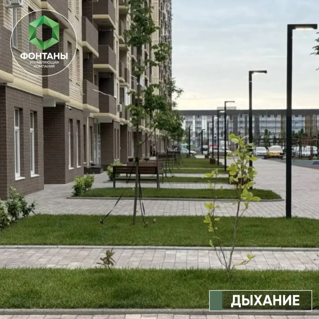 Выполнили комплекс работ по уходу за зелёными насаждениями, который направлен на обеспе...