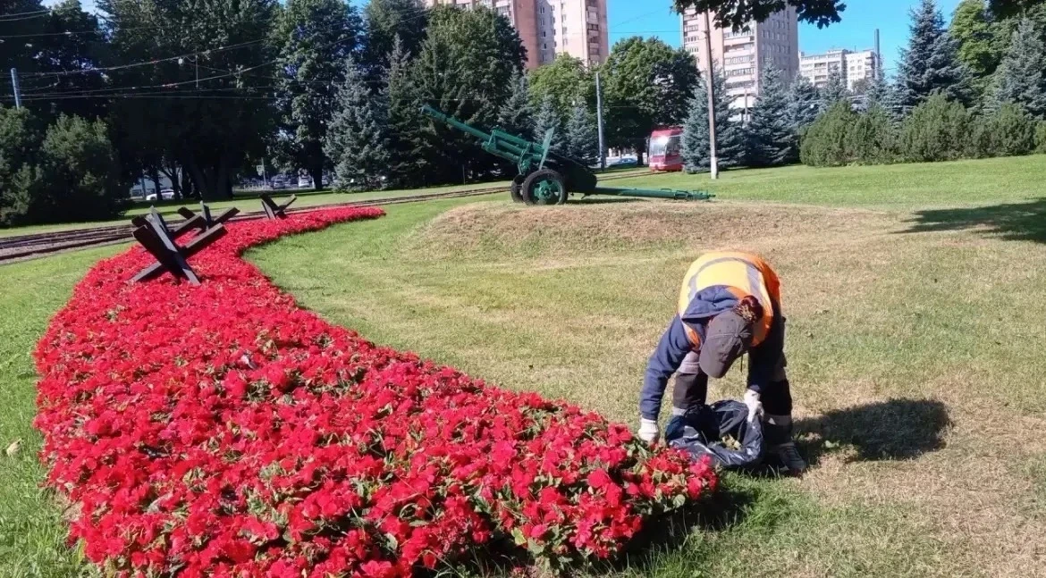 Красивый город — это не случайность, а результат ежедневной заботы. 💚