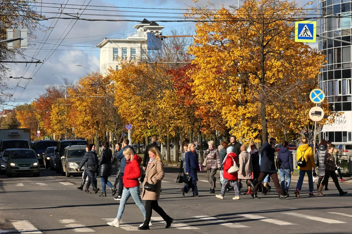 Вологжан ждут первые заморозки в эти выходные