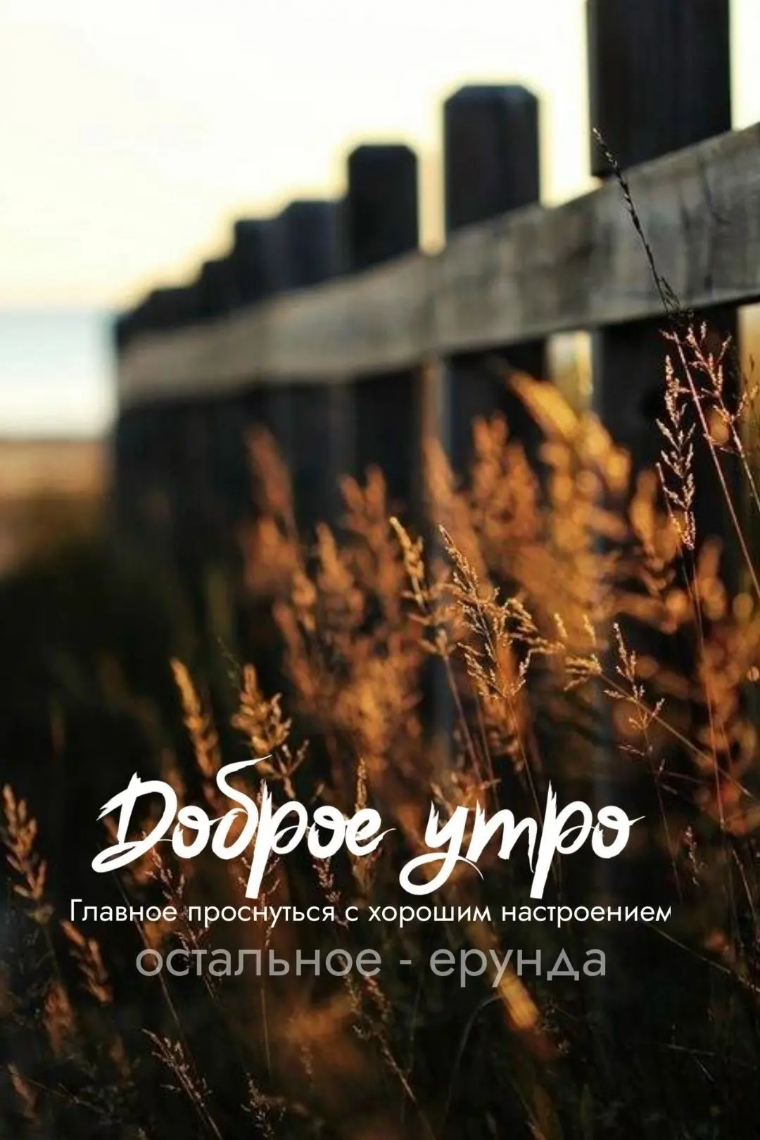 Доброе утро!

Уголок Душевного Тепла ❤️