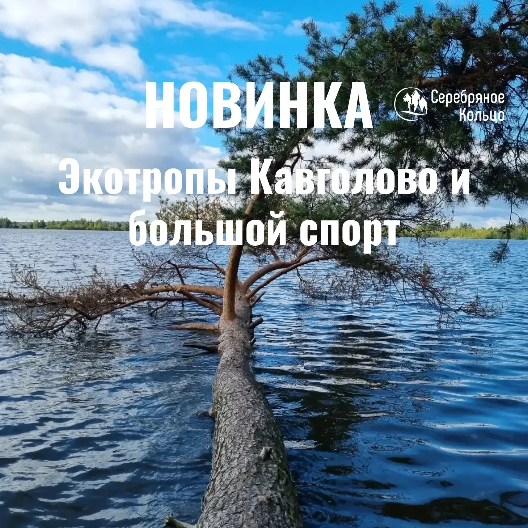 Продолжаем радовать вас новинками.

Ведь лето на то и лето, чтобы путешествовать!

В этот раз предла