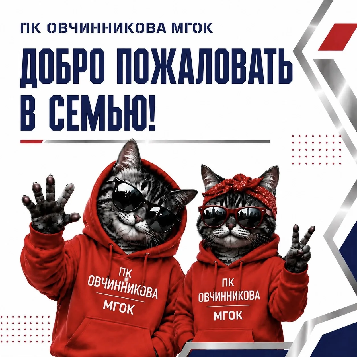 🎉 Вы зачислены! С этого дня вы — студент!