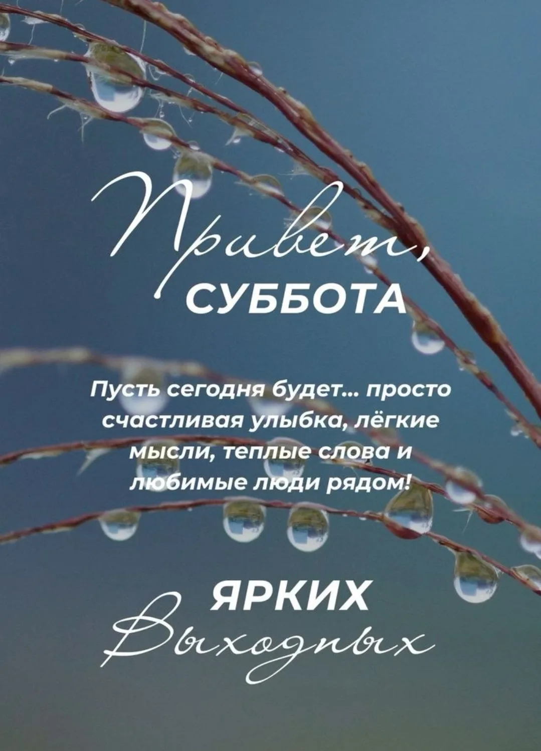 Доброе субботнее утро, дорогие подписчики! ☀️😊

Пусть этот день порадует вас заслуженным отдыхом и 