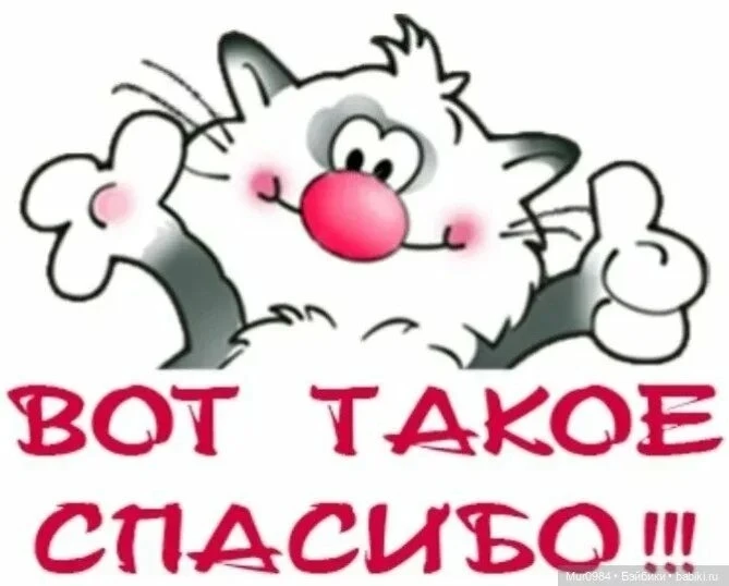 Выражаем БЛАГОДАРНОСТЬ
