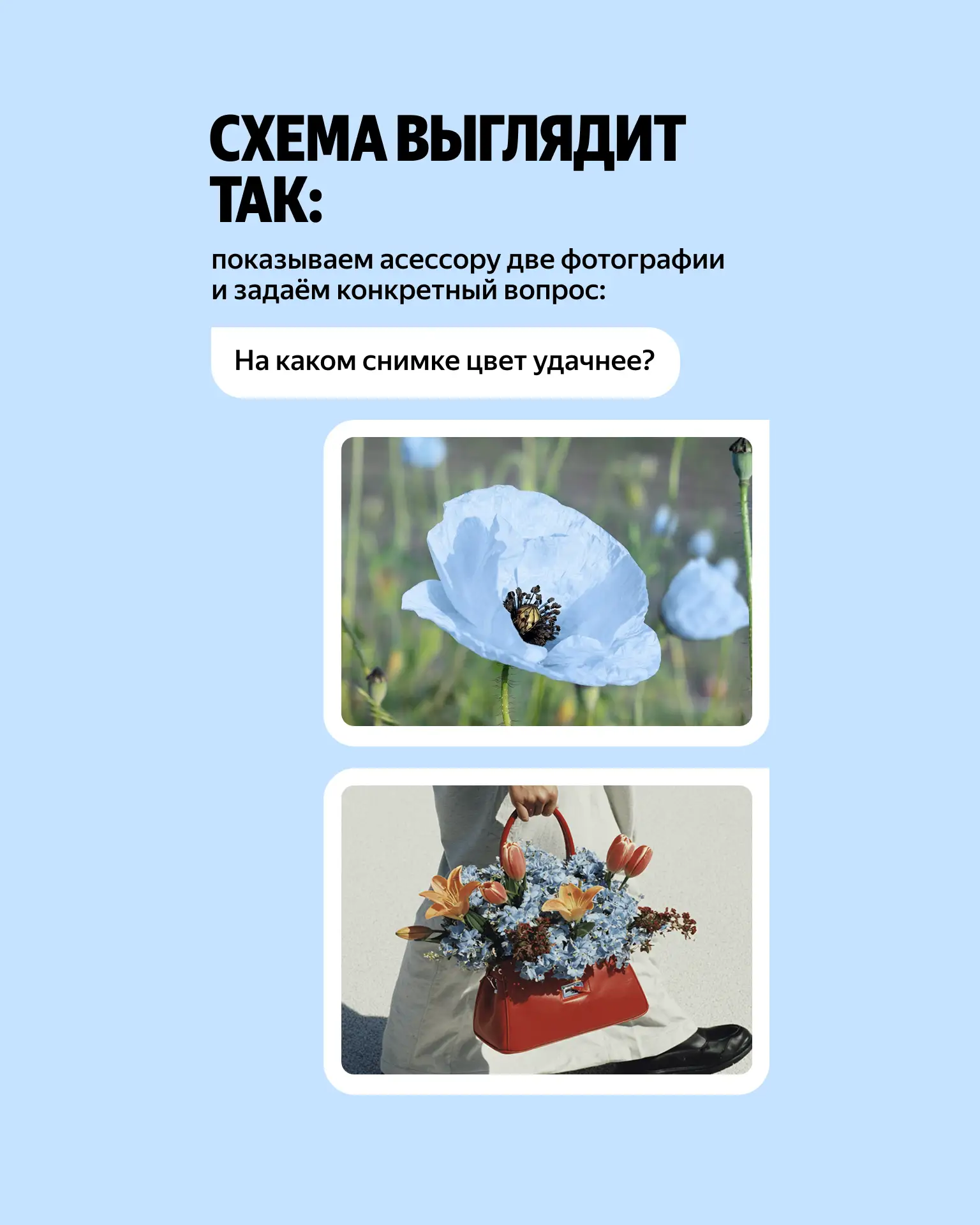Изображение 5 к публикации «Яндекс»