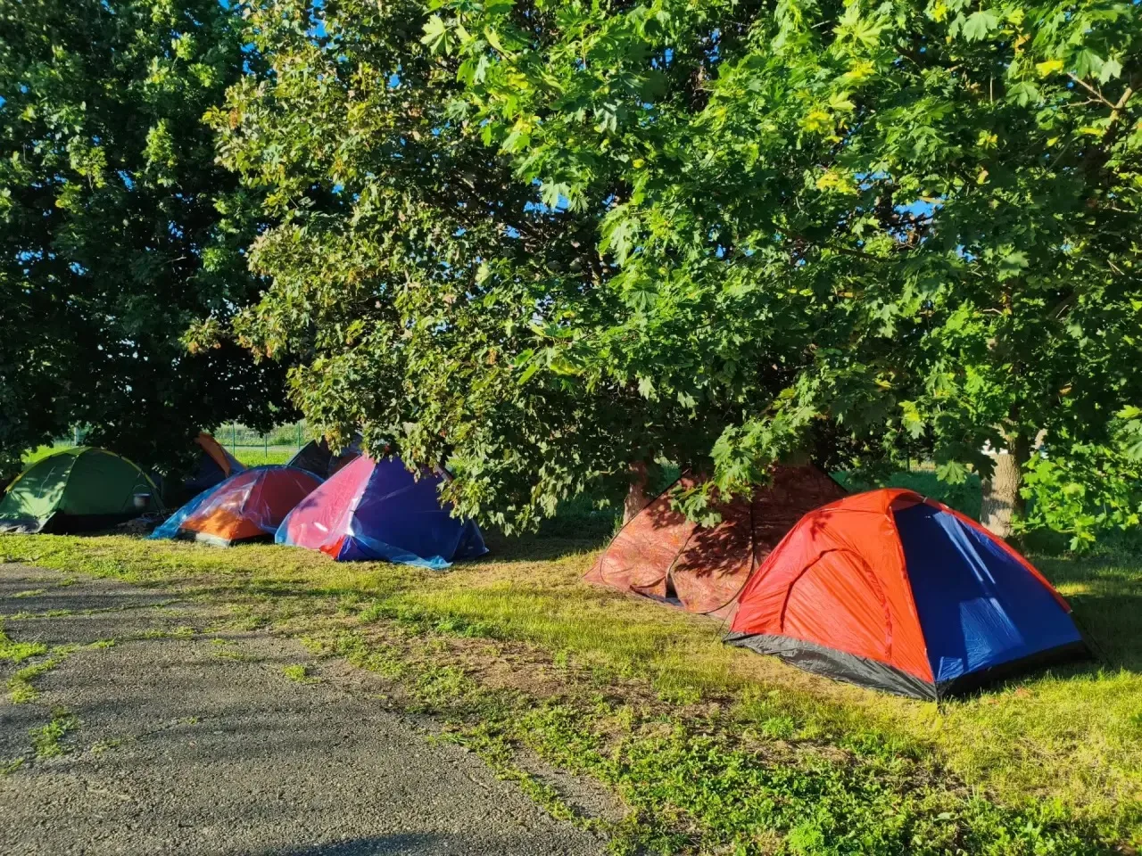 🏕️ Открытие палаточного лагеря «Казачья смена»

📌 Дата: Сегодня, 15 июня 2026 года

✨ Дорогие друз