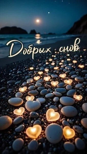 🩷🌙 Доброй ночи, дорогие читатели!