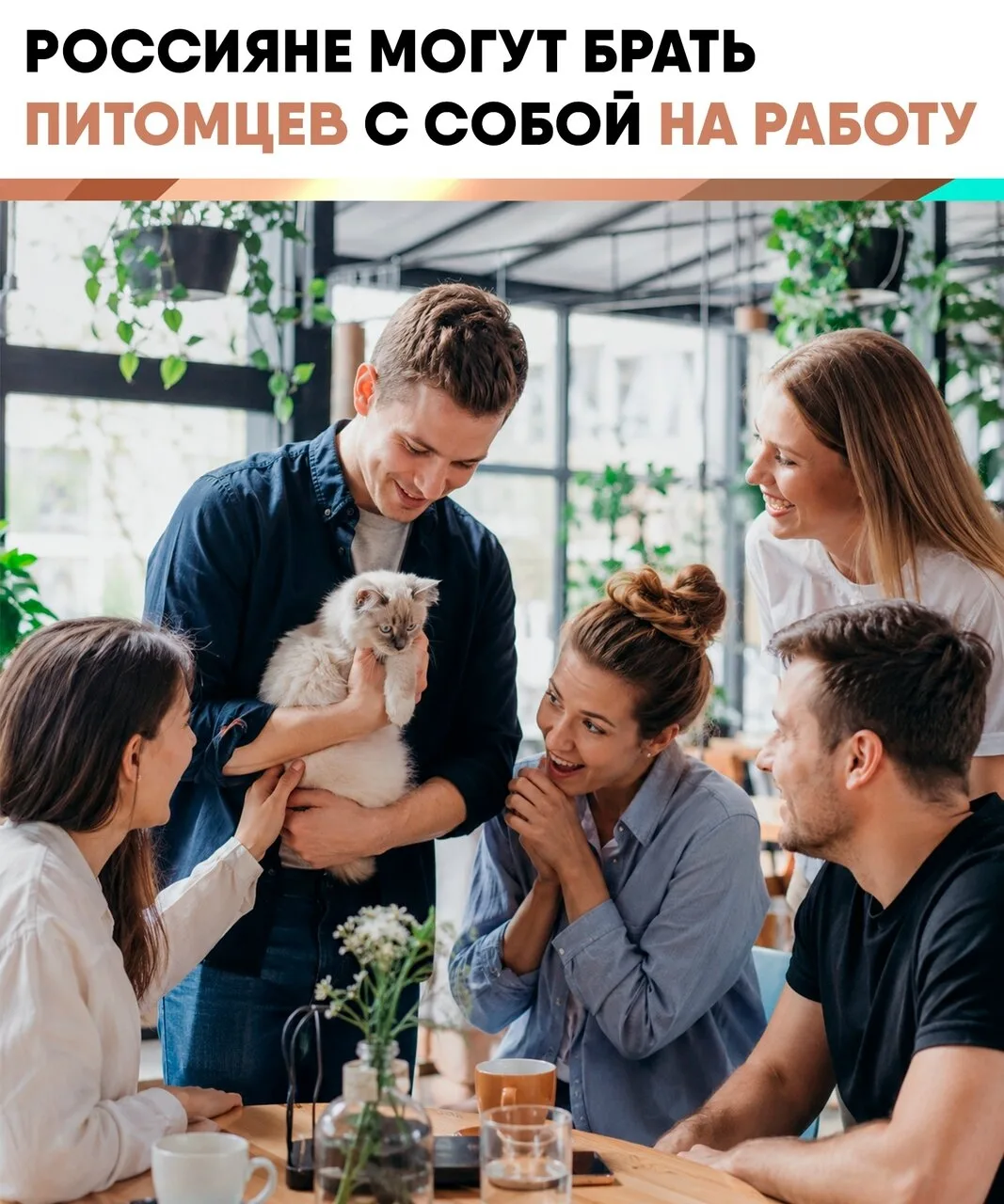 😼 Россиянам разрешили брать питомцев на работу, правда есть нюанс.