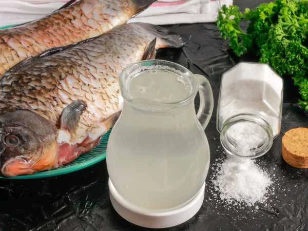 ТУЗЛУК ДЛЯ ЗАСОЛКИ РЫБЫ