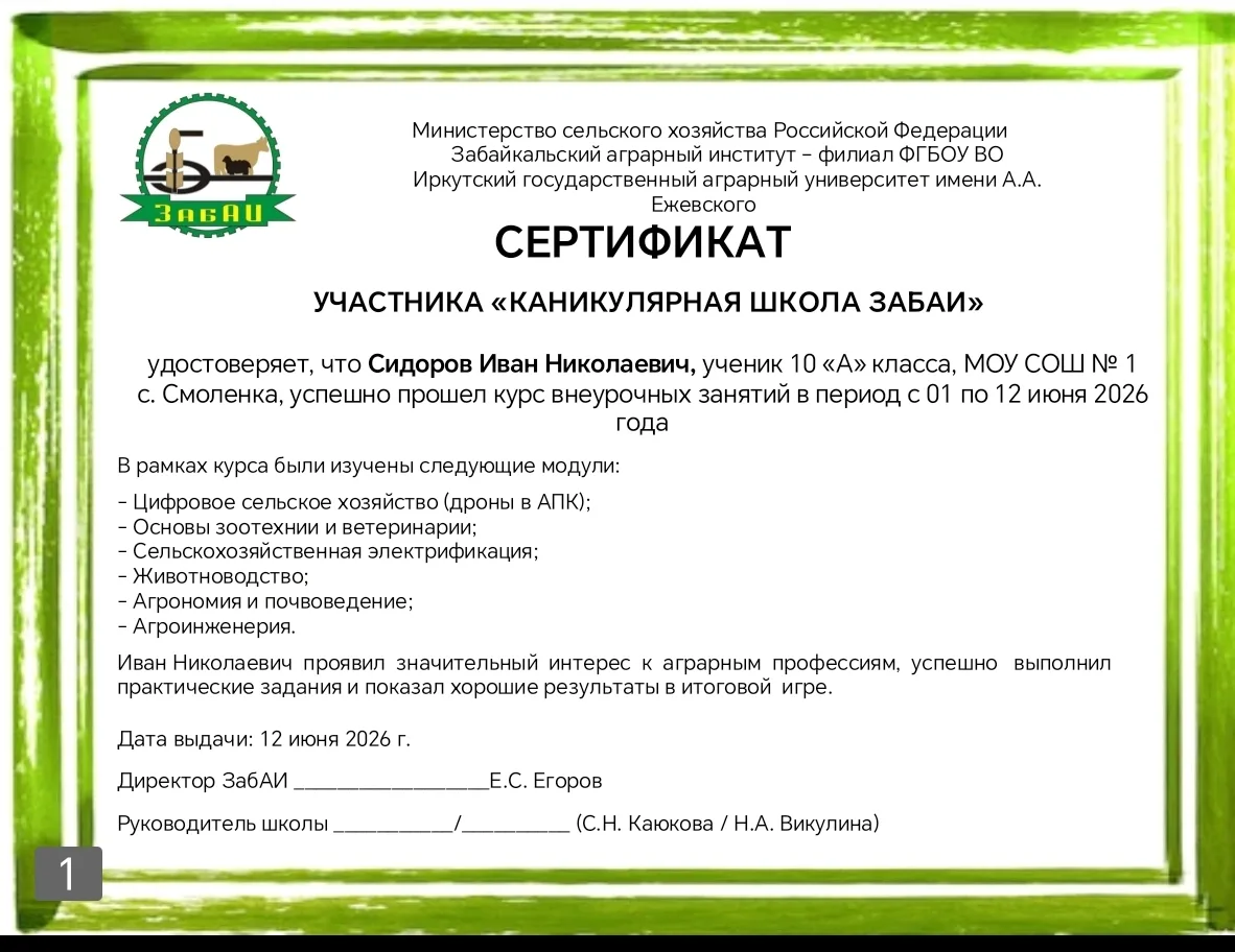 ✨ Каждый участник получил сертификат участника ✨