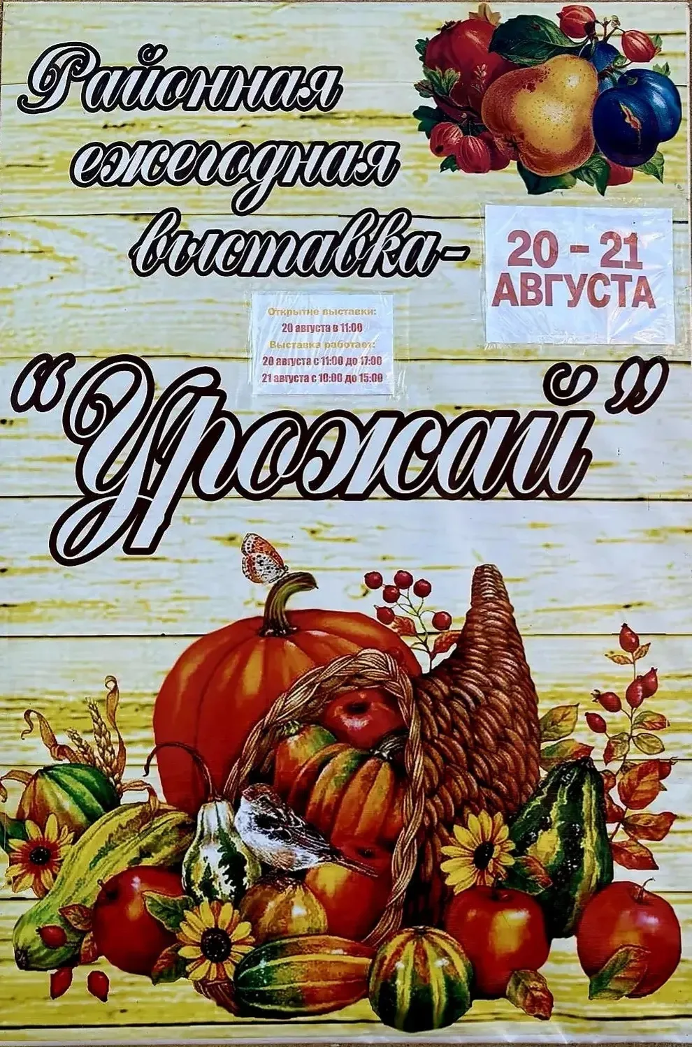 🥬От семени до выставки: в Кондрове открылась традиционная выставка «Урожай года».