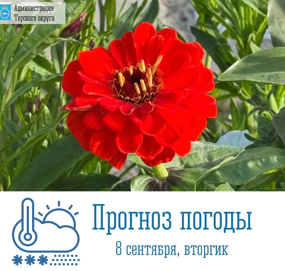 🌥 Доброе утро!