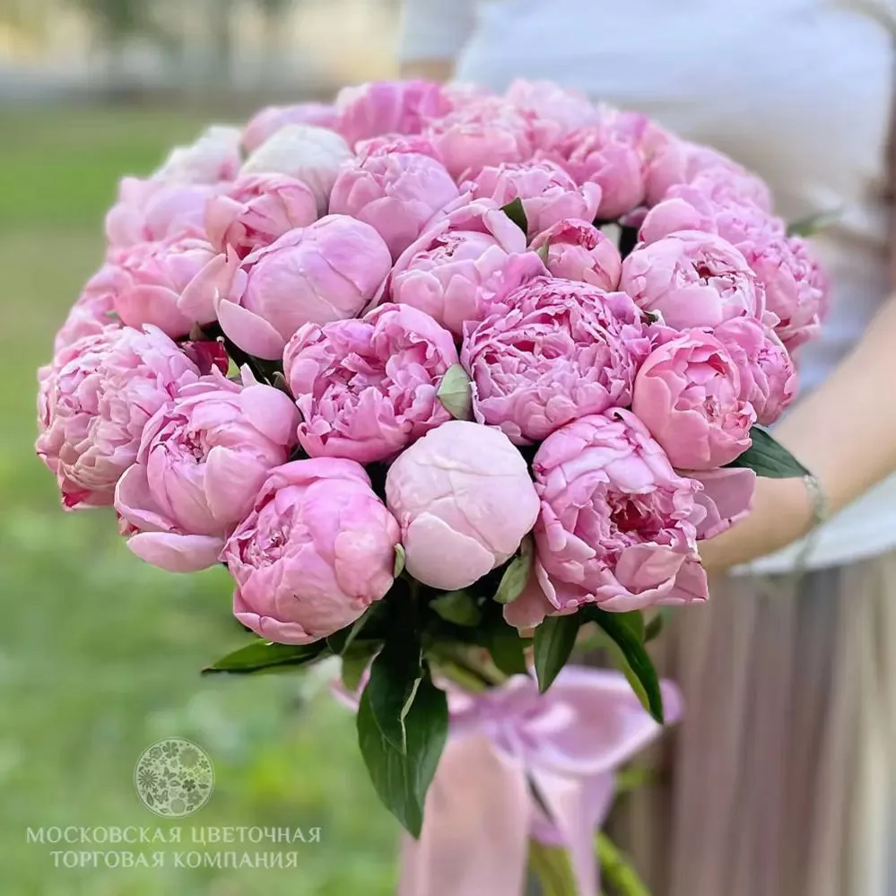 🌸 Настоящая ПИОНОМАНИЯ захватывает с мая по август и Москву, и весь, пожалуй, Мир....