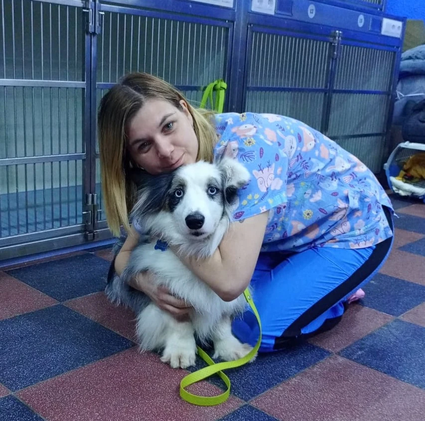 🐾 Готовимся к кастрации питомца: инструкция без паники!