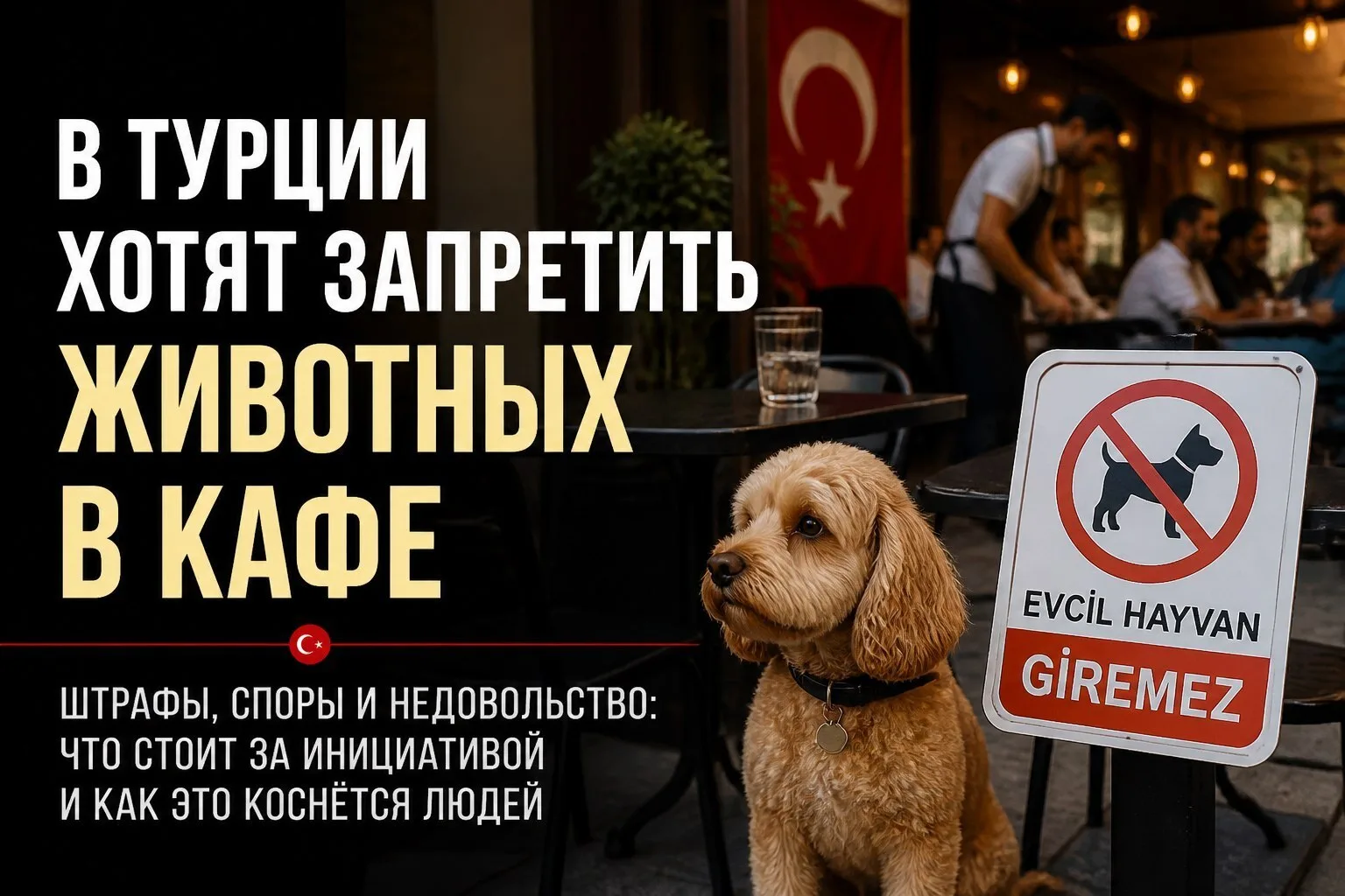 🐾 В Турции хотят закрыть доступ хвостатым в кафе и рестораны