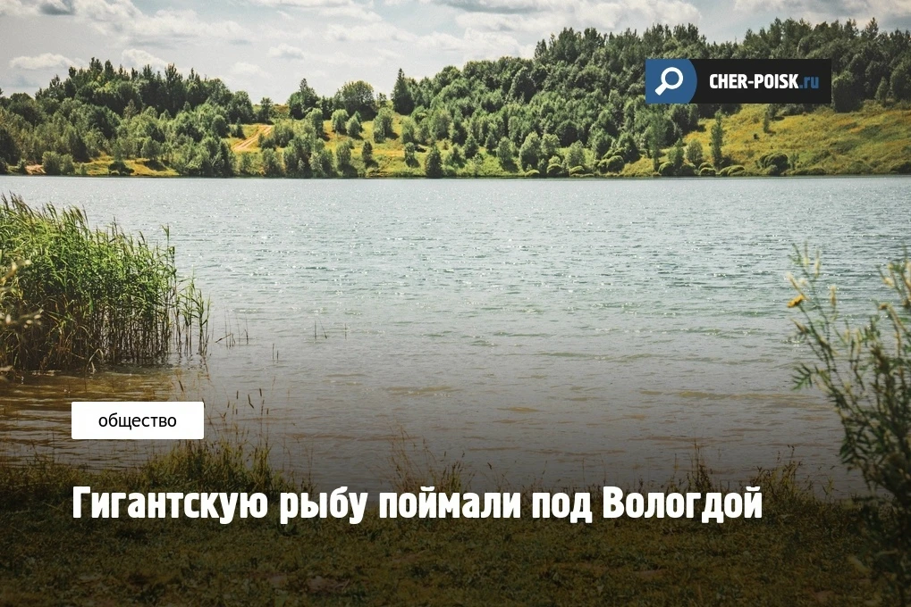 Сом на 97 кг отправился назад в Рыбинское водохранилище после фотосессии.

15-летний москвич Илья Се