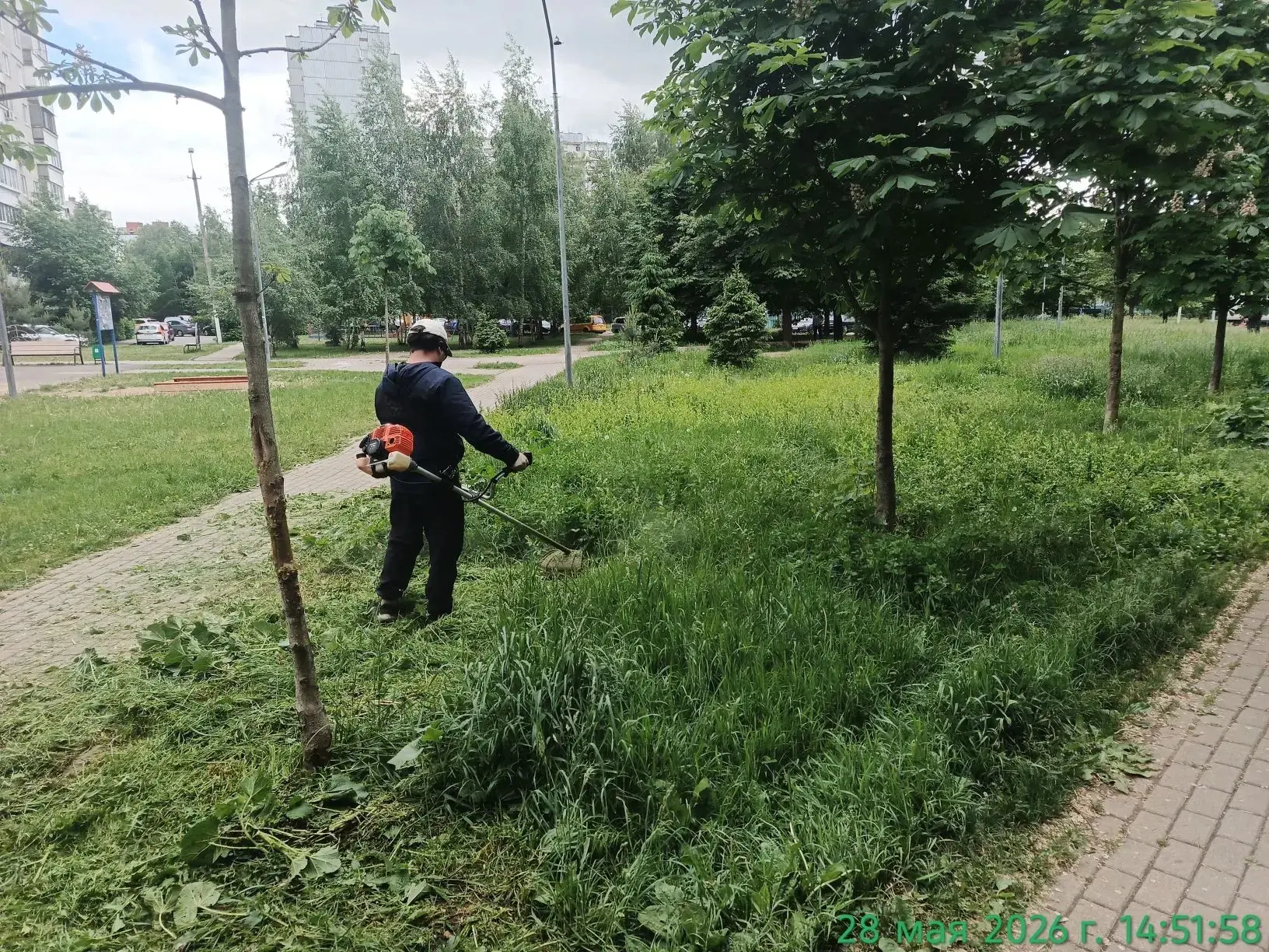 Выполнены работы по уборке территории и покоса травы по адресу улица Свердлова дом 33
