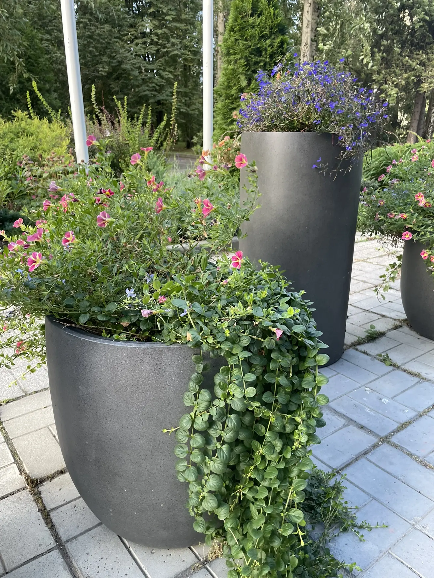 Всем доброе-доброе утро, дорогие друзья! 🌸