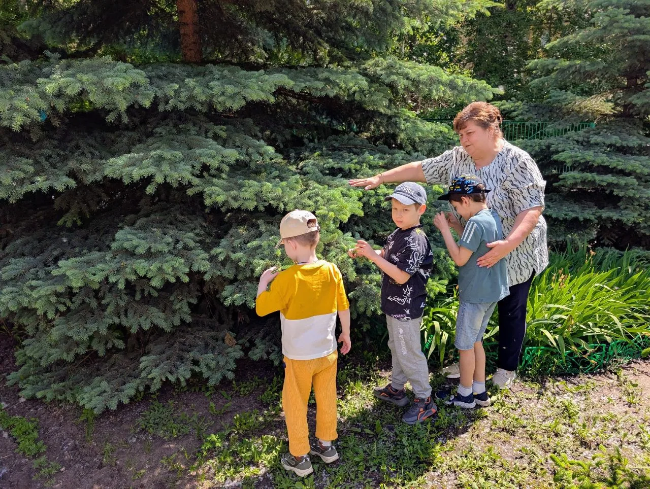 🌿 С целью повышения экологической культуры детей и формирования бережного отношения к природе, в де