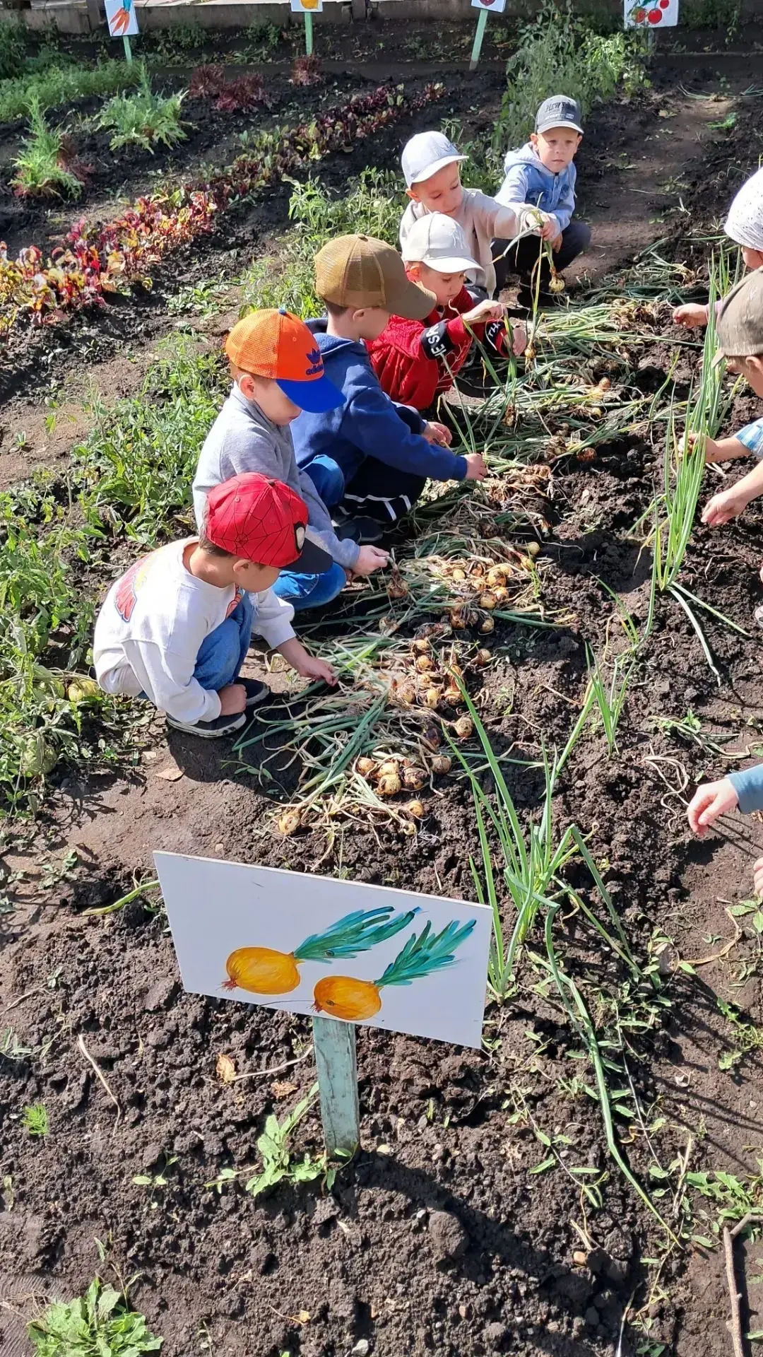 Труд в природе 🍀приносит детям много радости и способствует их всестороннему развитию....