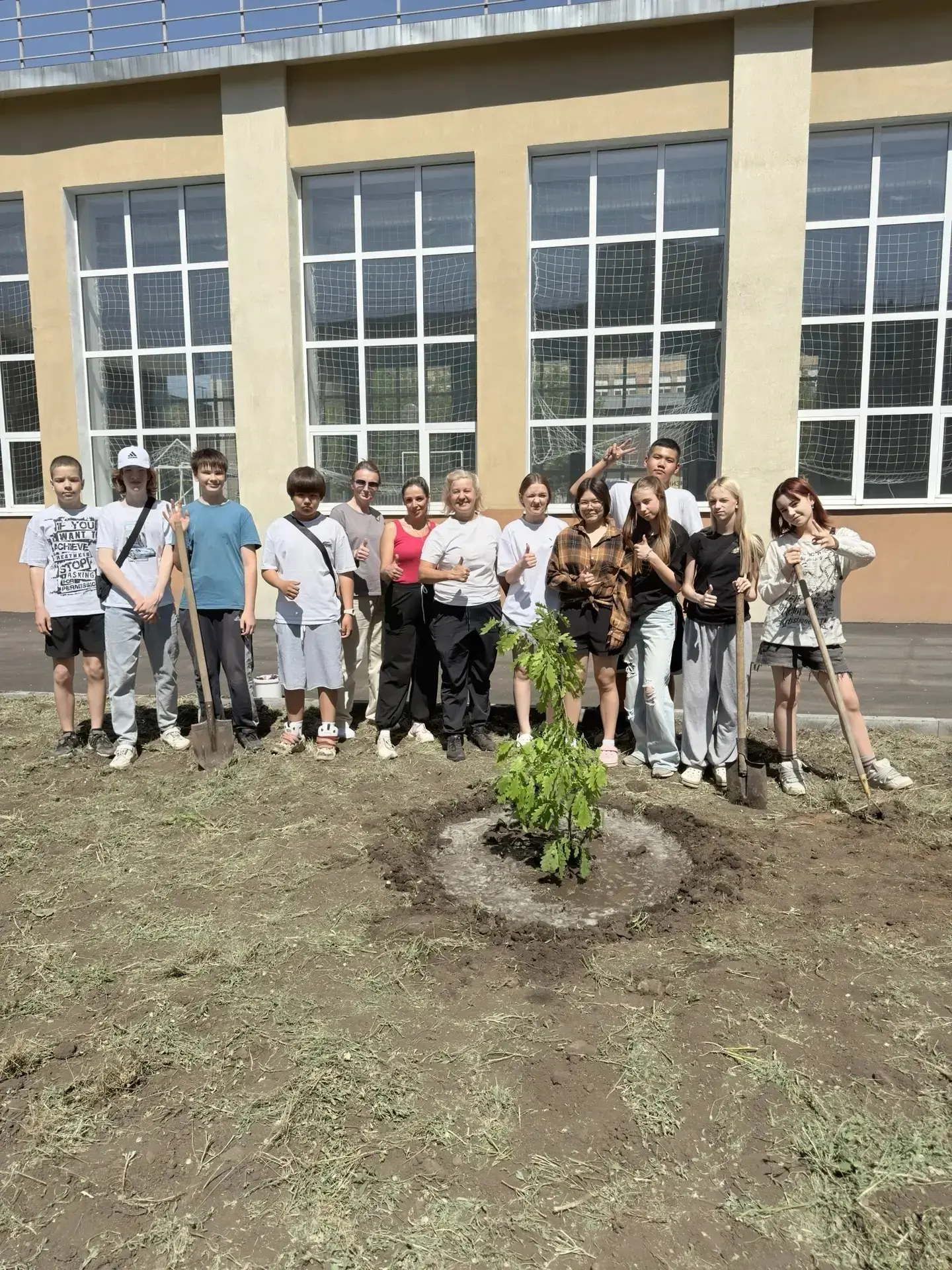 🌳ОЗЕЛЕНЕНИЕ территории школы🌳
