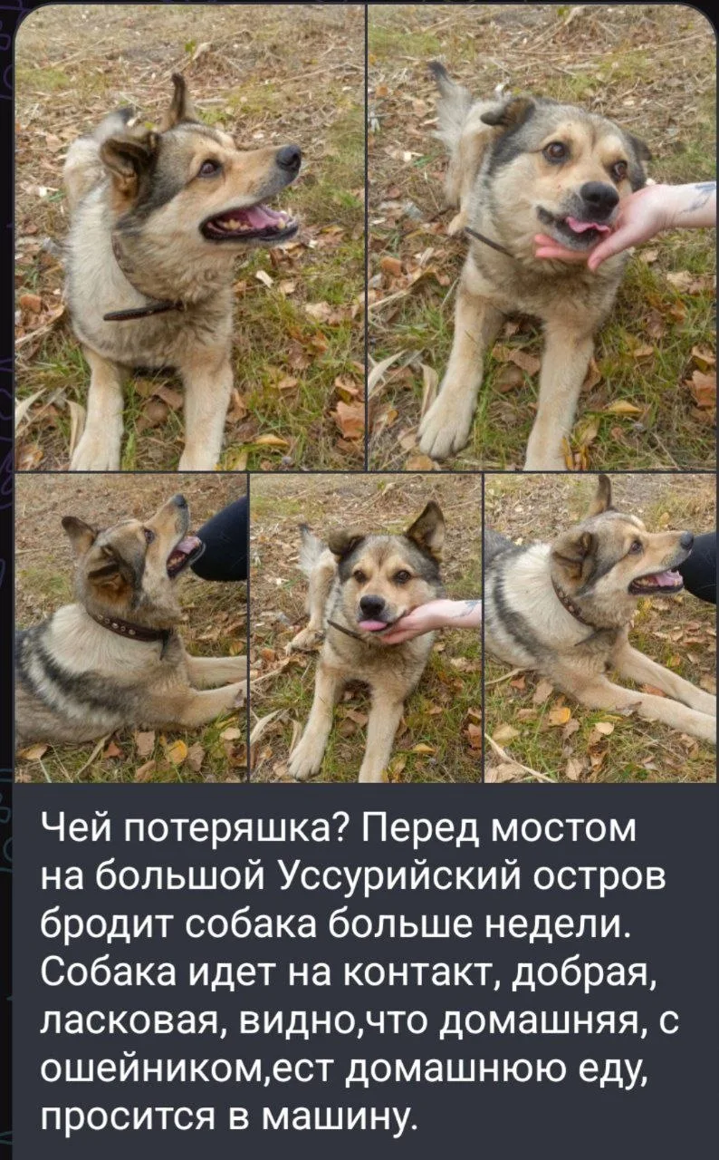 Может кто потерял?
