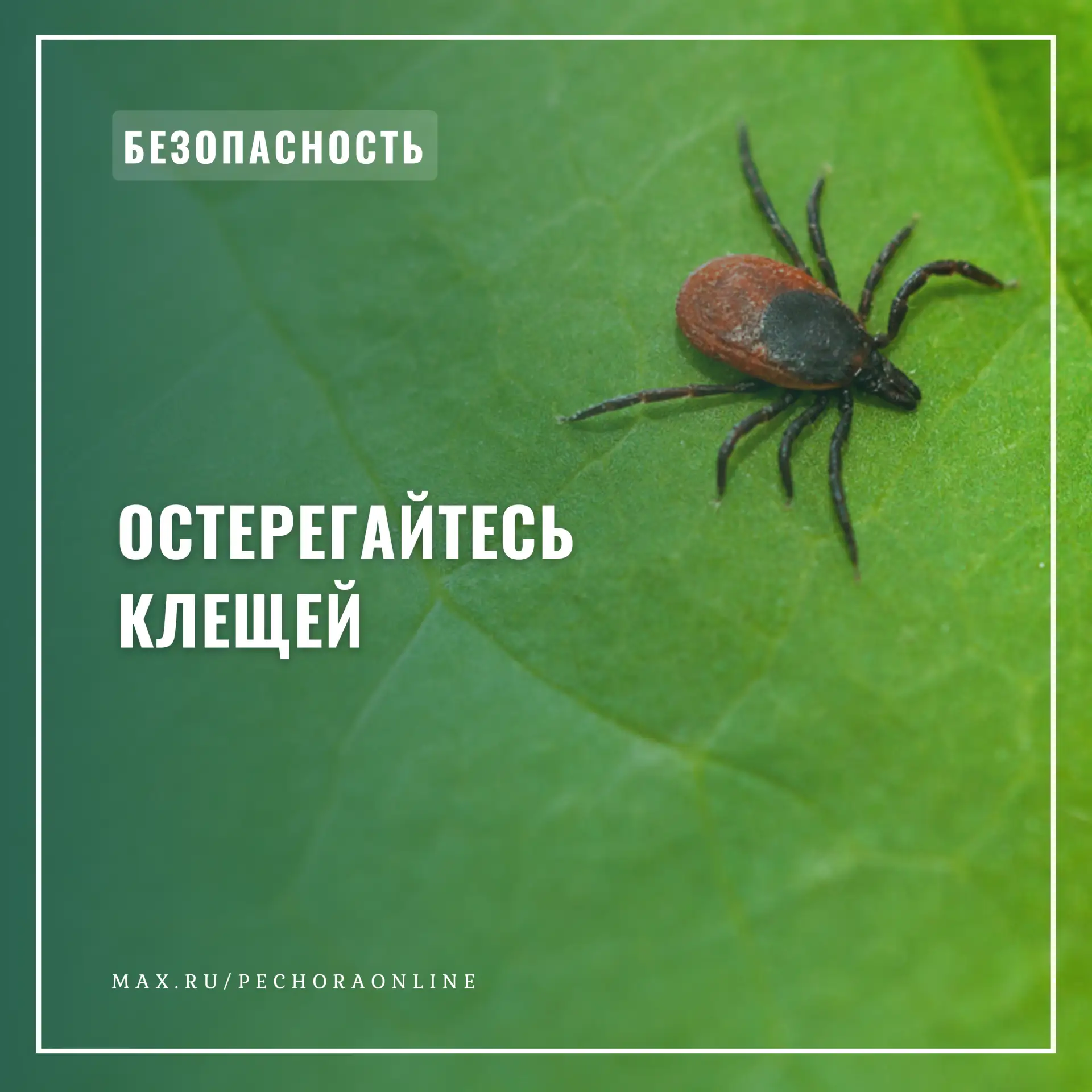 ☝Памятка «Остерегайтесь клещей»