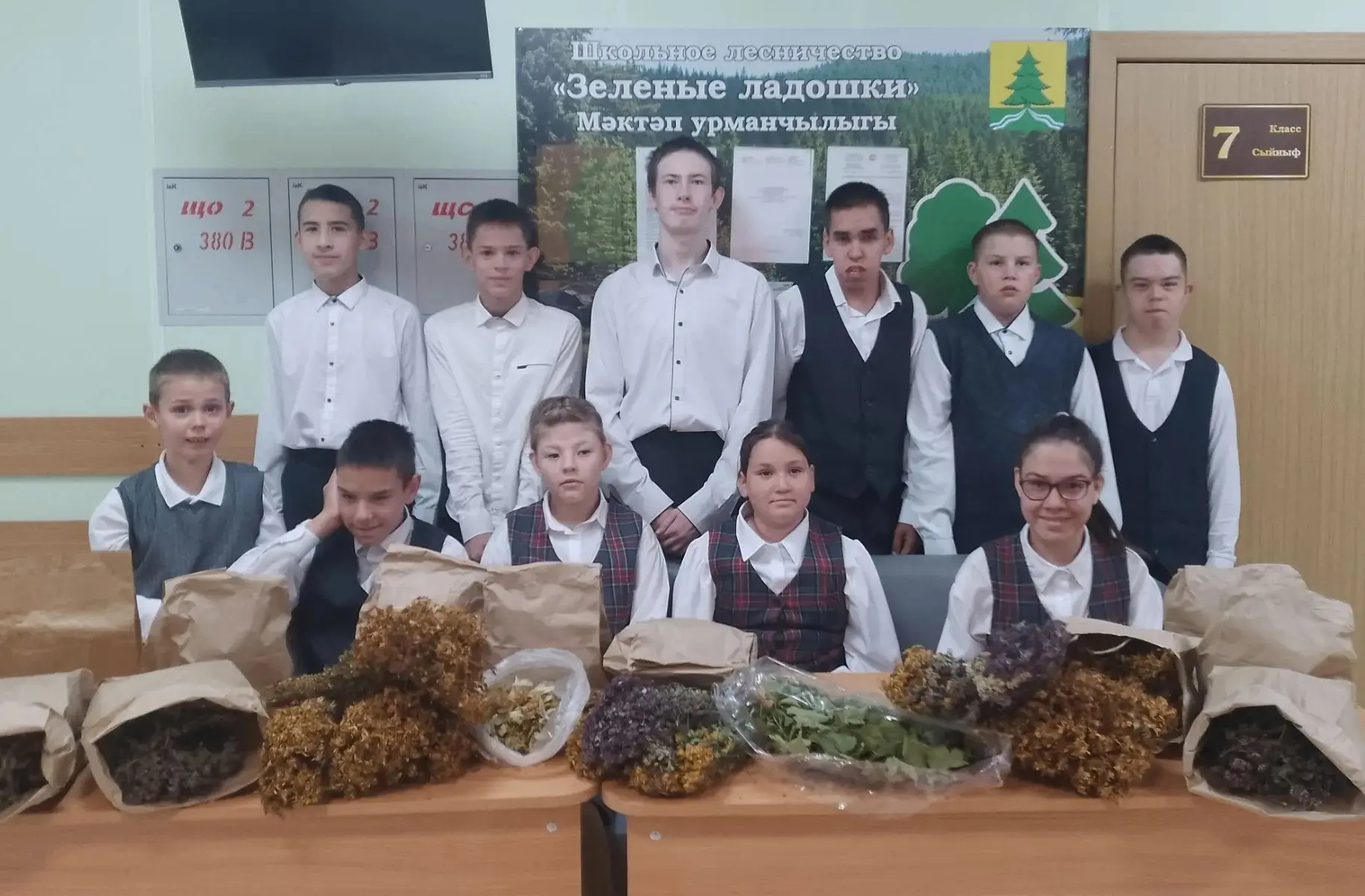 ☘️Успешно завершена акция «Сбор и заготовка целебных трав»☘️