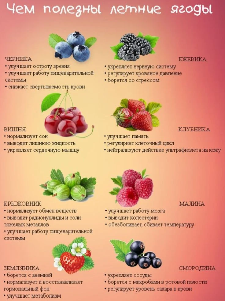 Рубрика "Здоровое питание школьников" 🍓🍒🫐