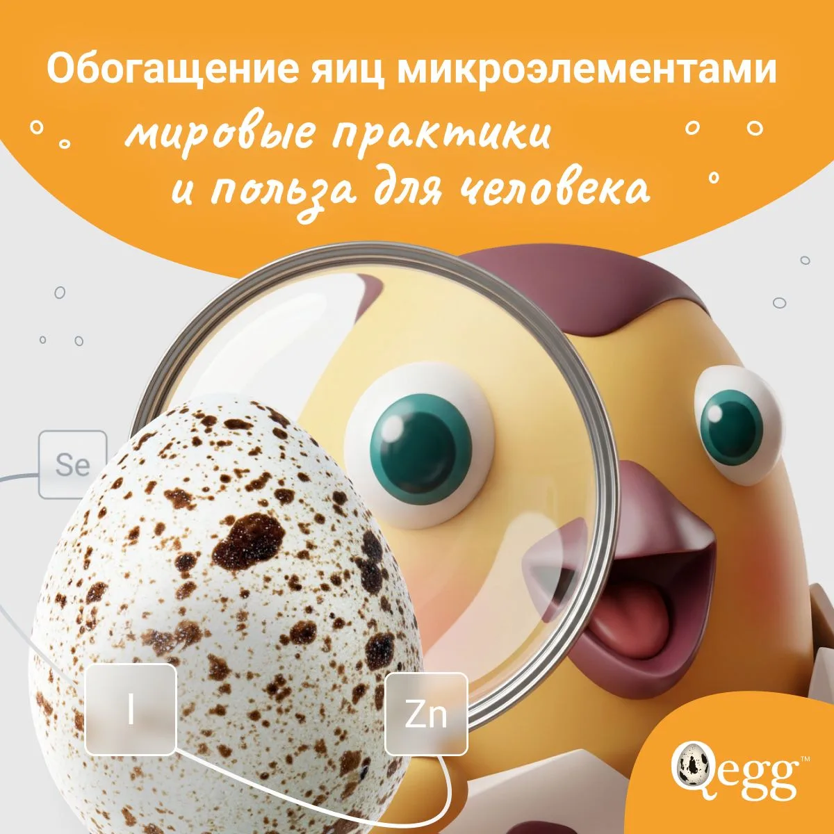 Обогащенные яйца — что это такое и зачем? 🤓