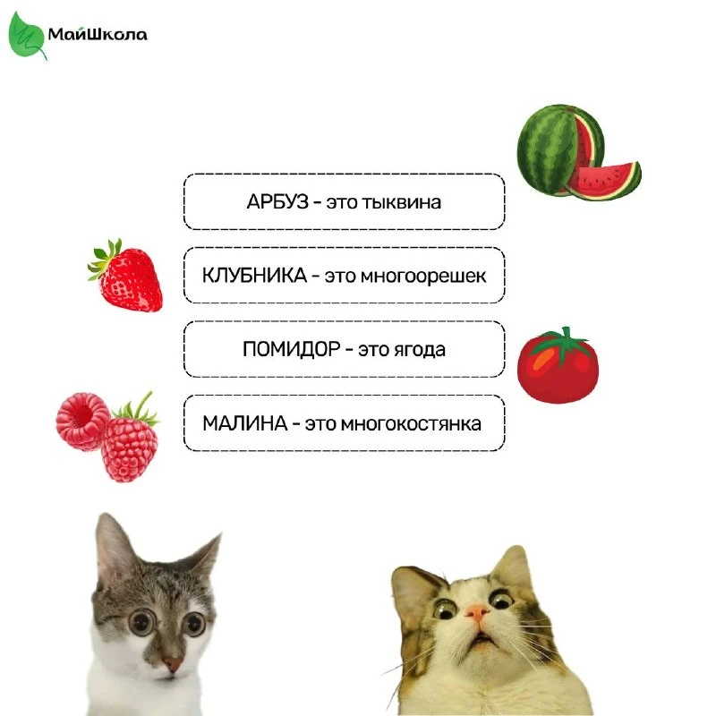 Жестокая биологическая правда 😅