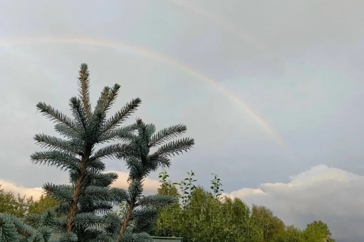 🌧+14ºС и дождь прогнозируются в Пензенской области 6 октября