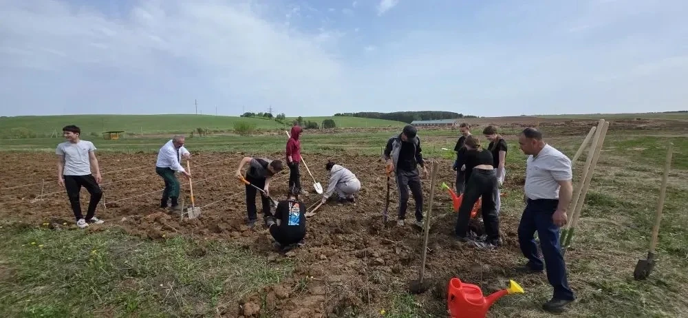 🌱 В Тимершикской средней школе появился собственный питомник