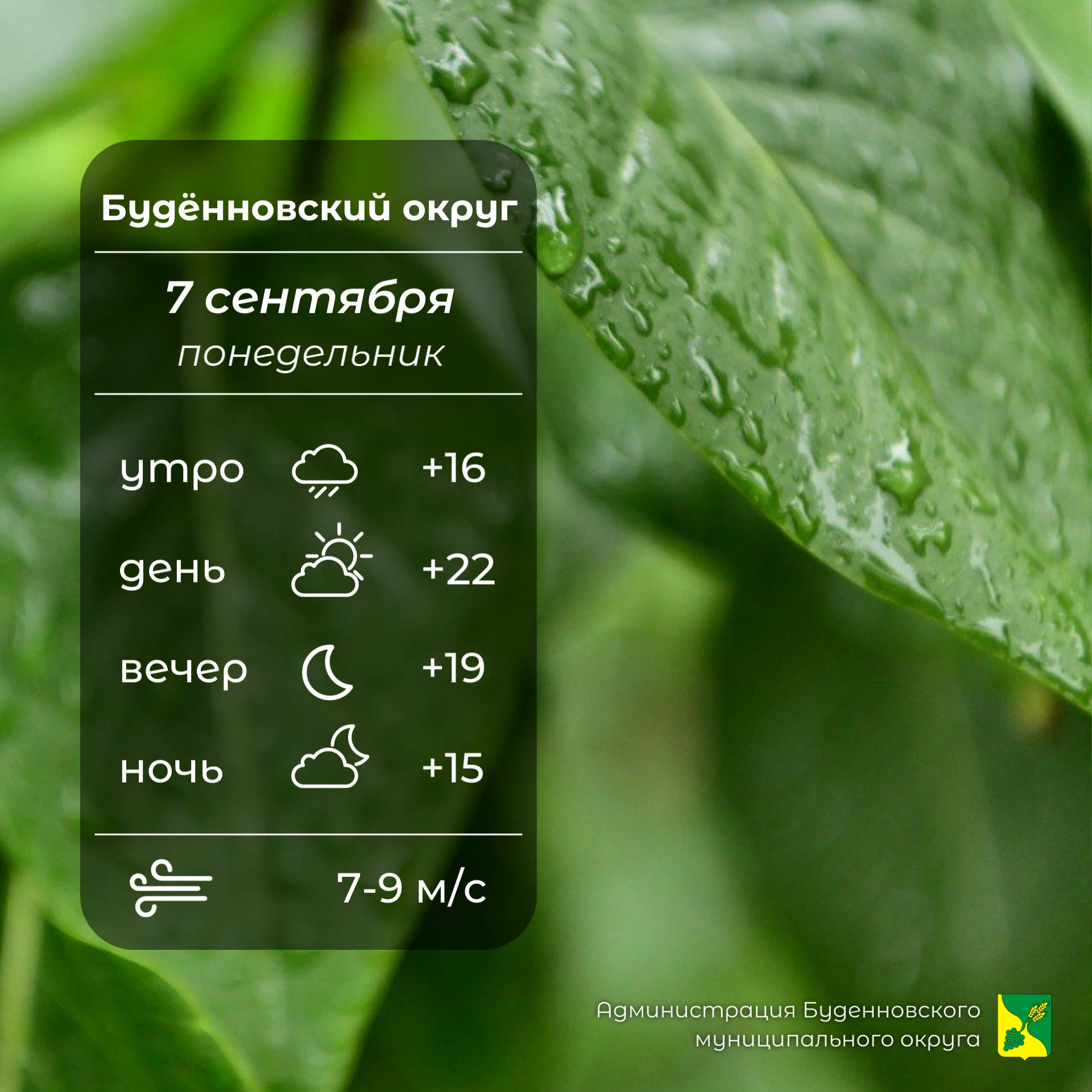 🌧️Сегодня в Буденновском округе облачно, утром возможен дождь. Температура воздуха +15...