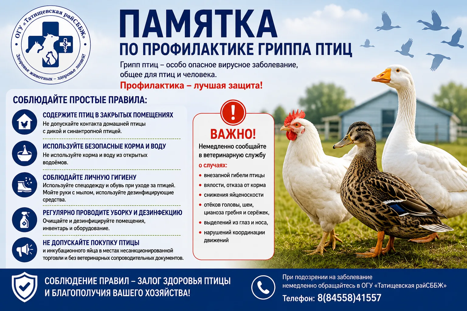 ✅Памятка по профилактике гриппа птиц