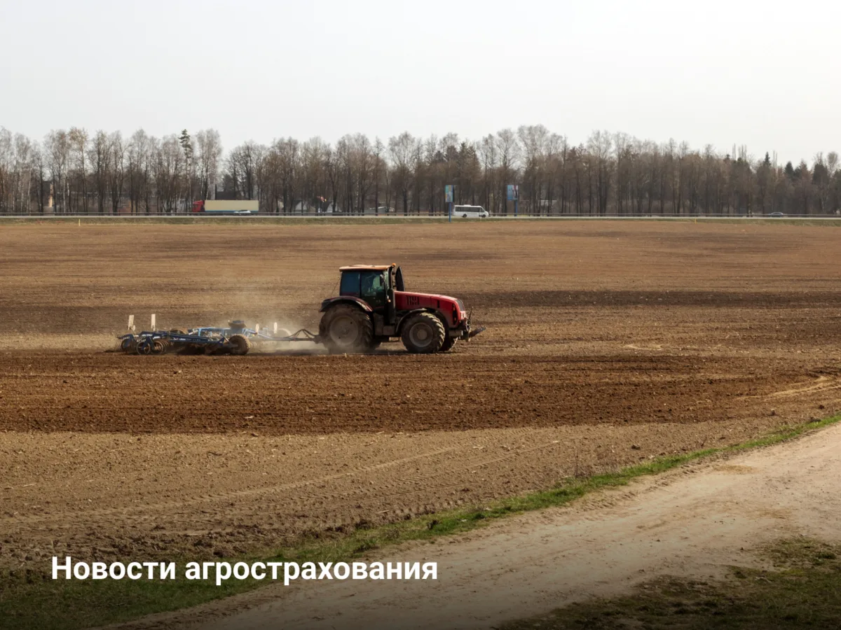 Новости агрострахования🚜