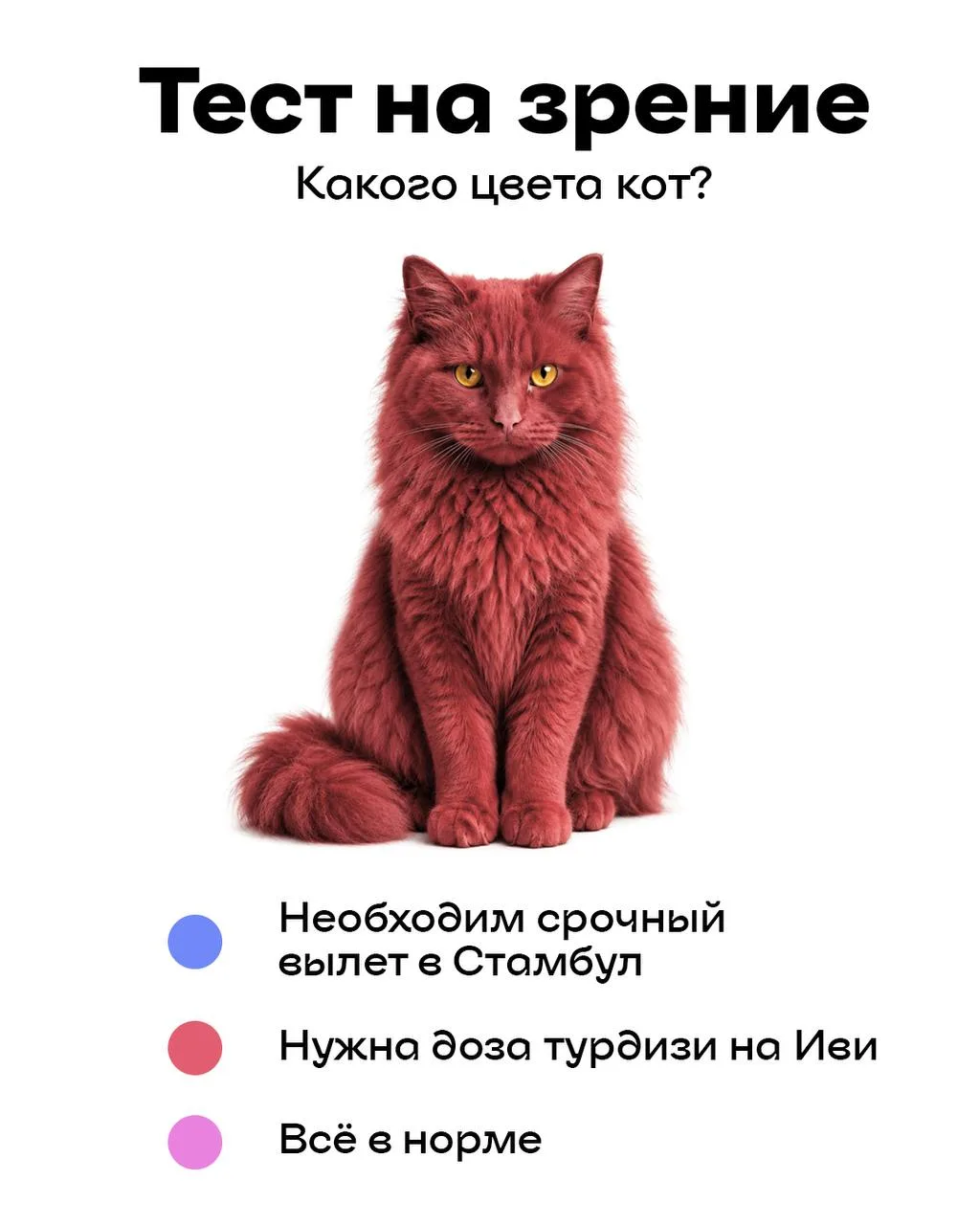 Делись в комментариях, какой цвет видишь ты? ✍️