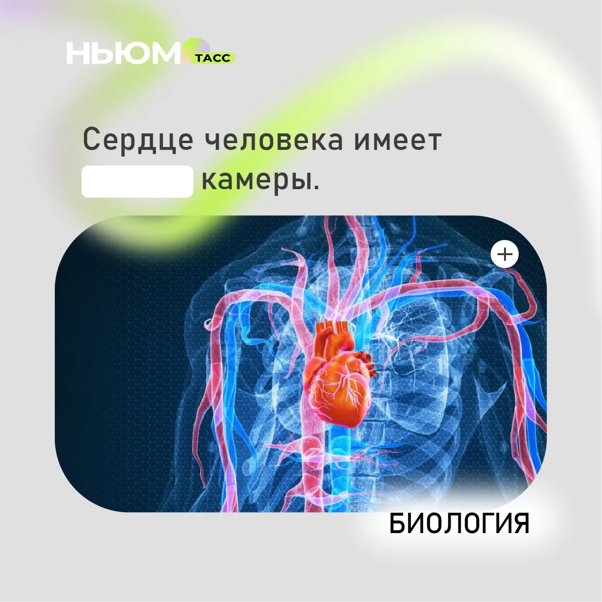 Проверим, как хорошо вы знаете биологию. В карточке спрятали слово. Попробуйте угадать.