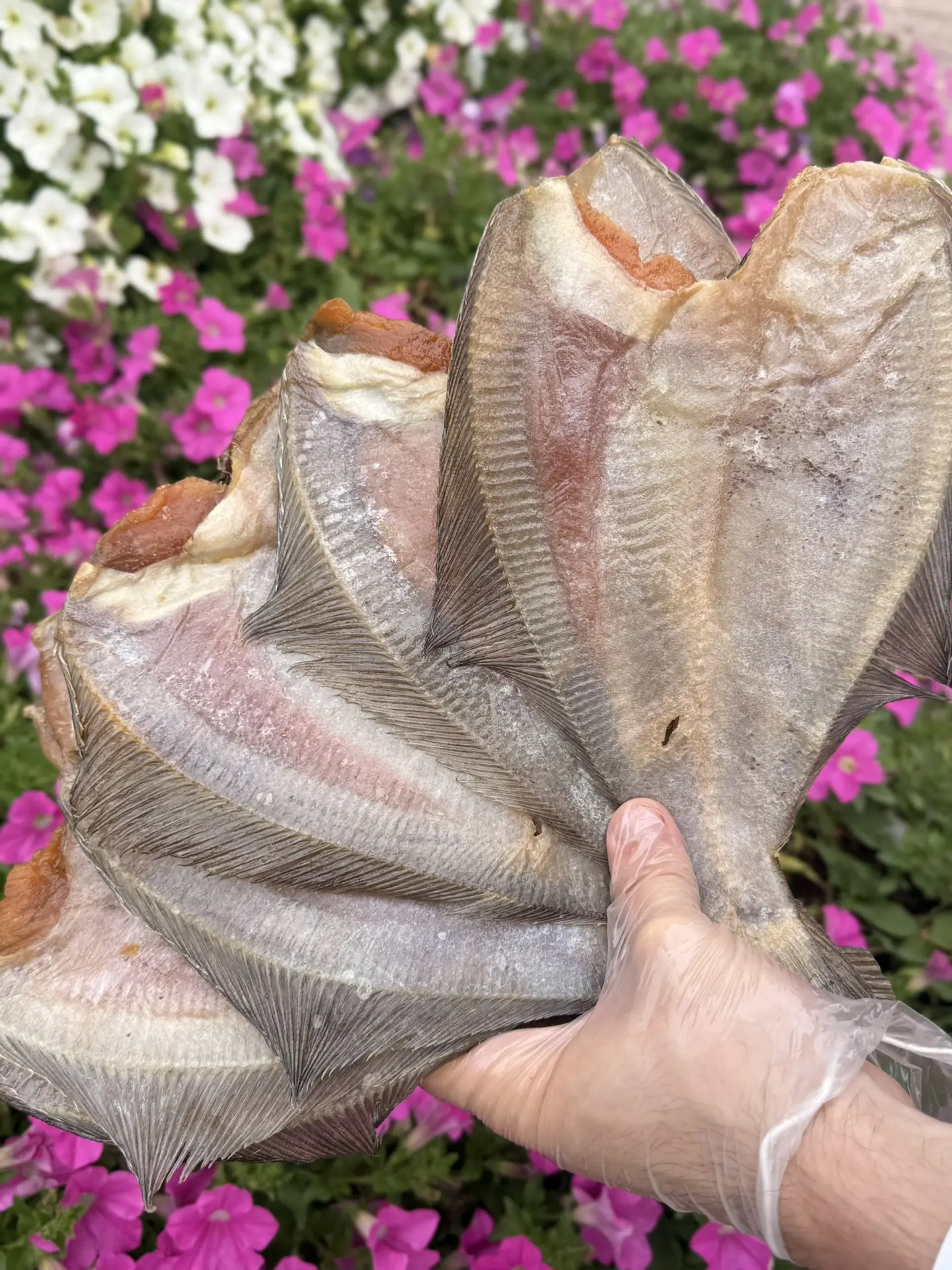 Новая партия шикарного АВГУСТОВСКОГО ерша с икрой, ЭКСТРА-КЛАССА🤤