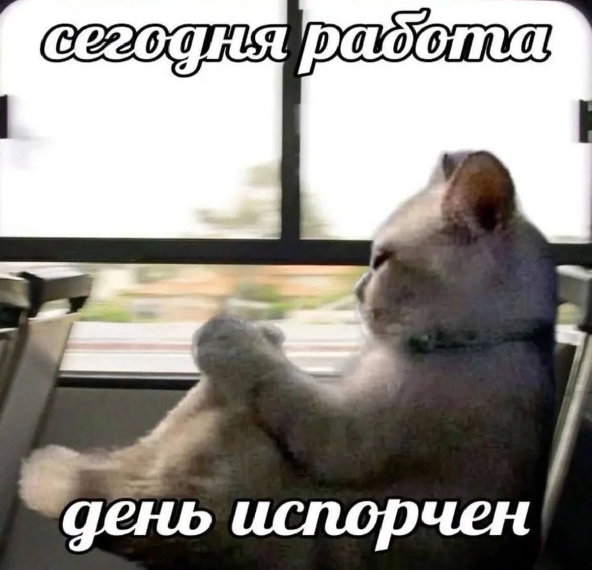 Коллеги и начальство: ямальцы назвали главные источники стресса на работе  Опрос SuperJob: 14% работ