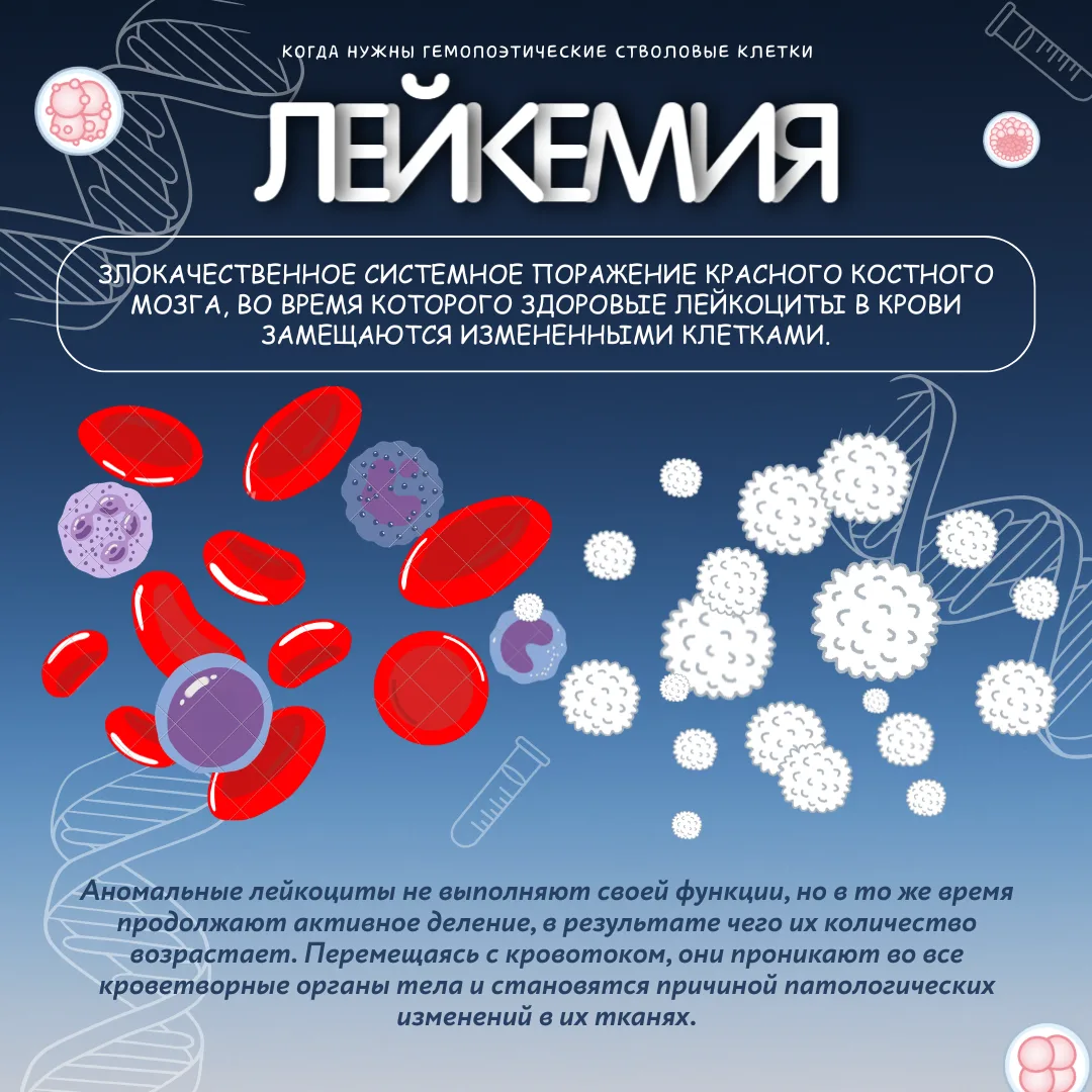 Спасти жизнь и найти своего генетического близнеца  🩸Продолжается неделя популяризации донорства кро