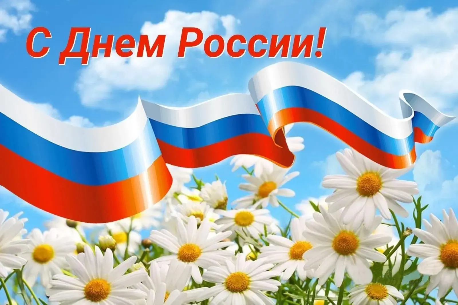 Уважаемые коллеги! Дорогие друзья!

🇷🇺Поздравляем вас с государственным праздником – Днем России! 