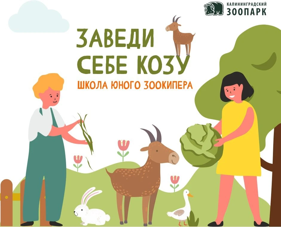 🐐Наш любимый зоокурс на подходе!
