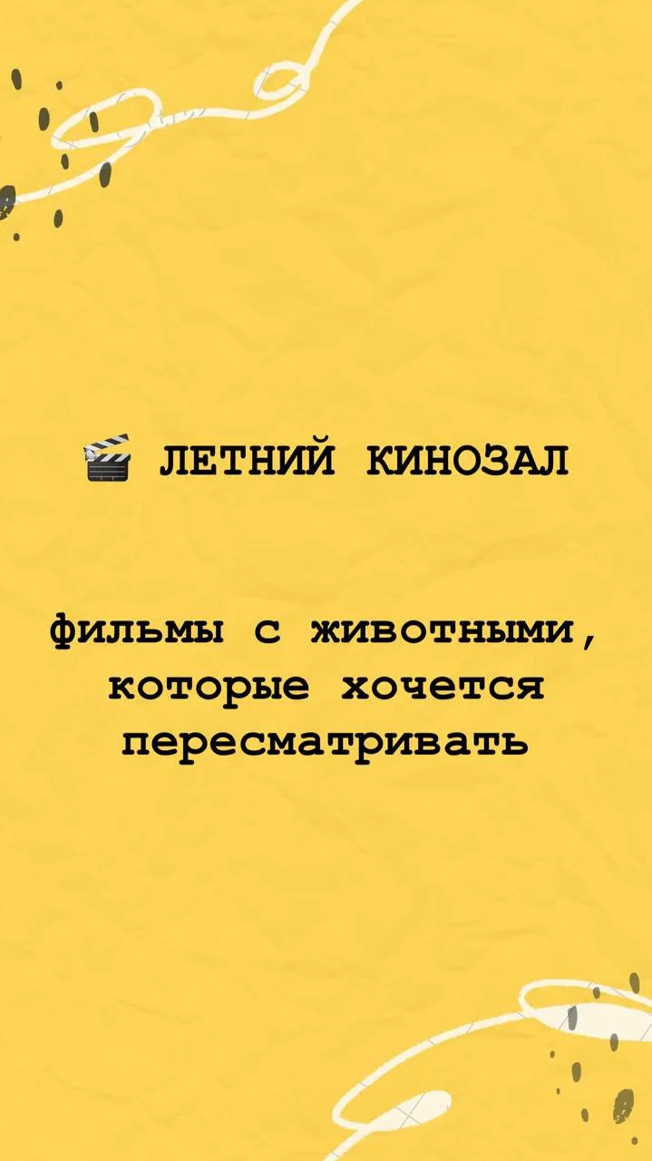 Лето — идеальное время для уютных семейных вечеров. А если в главной роли пушистый, хвостатый или уш